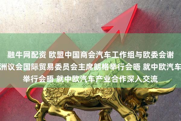 融牛网配资 欧盟中国商会汽车工作组与欧委会谢夫乔维奇内阁及欧洲议会国际贸易委员会主席朗格举行会晤 就中欧汽车产业合作深入交流