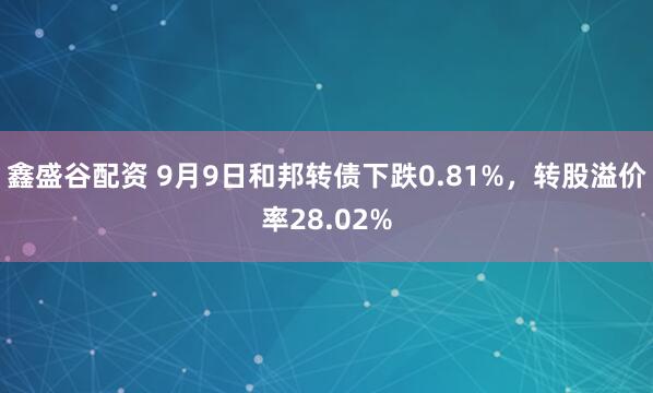 鑫盛谷配资 9月9日和邦转债下跌0.81%，转股溢价率28.02%